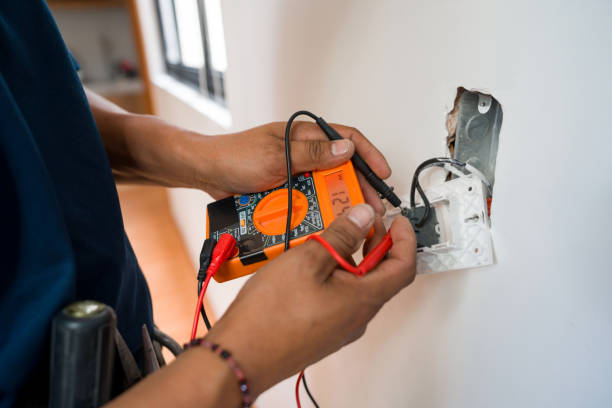Best Electric Panel Repair  in Ceresco, NE